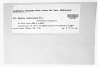 Image Associated With the Occurence